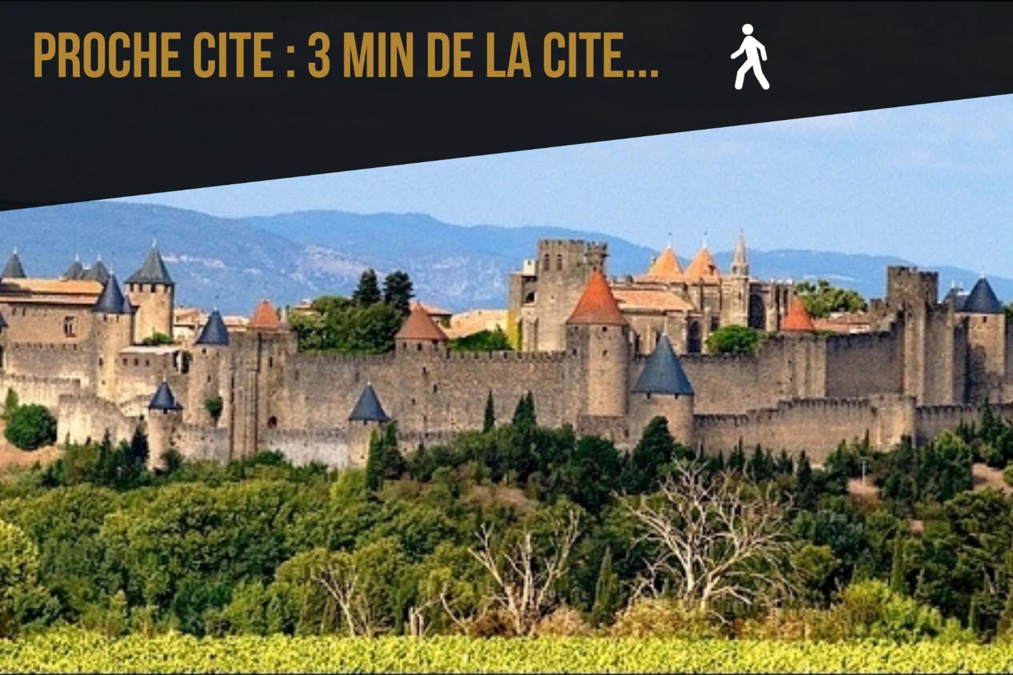 Les Gites De Laure - L'Or Vert, Appartement Avec Vue Sur Le Chateau, Parking Prive, Climatisation, Netflix, A 160 M De La Cite Medievale قرقشونه المظهر الخارجي الصورة